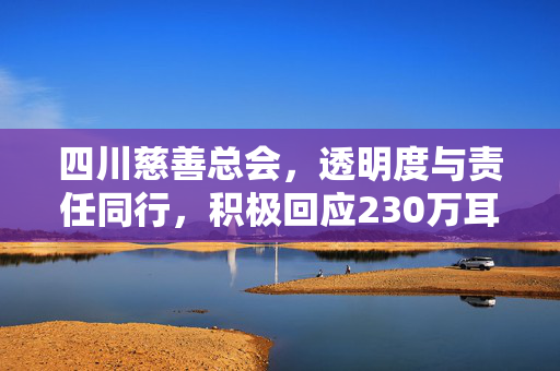 四川慈善总会，透明度与责任同行，积极回应230万耳环事件