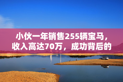 小伙一年销售255辆宝马，收入高达70万，成功背后的故事与经验分享