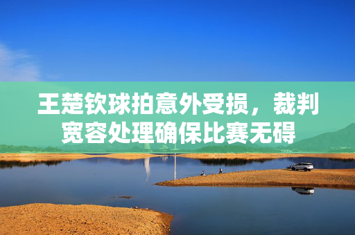 王楚钦球拍意外受损，裁判宽容处理确保比赛无碍