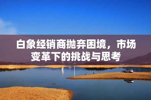 白象经销商抛弃困境，市场变革下的挑战与思考