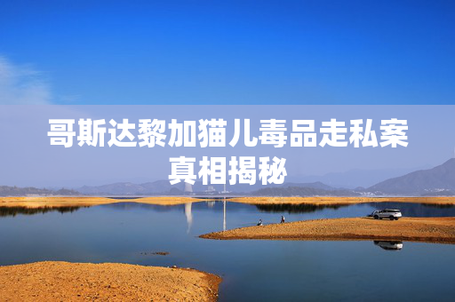 哥斯达黎加猫儿毒品走私案真相揭秘