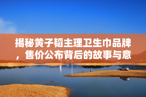 揭秘黄子韬主理卫生巾品牌，售价公布背后的故事与意义