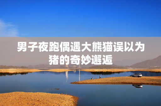 男子夜跑偶遇大熊猫误以为猪的奇妙邂逅