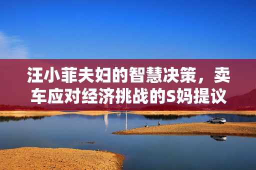 汪小菲夫妇的智慧决策，卖车应对经济挑战的S妈提议