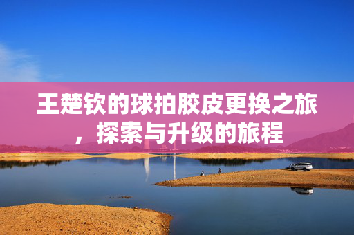 王楚钦的球拍胶皮更换之旅，探索与升级的旅程