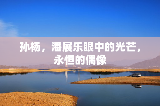 孙杨，潘展乐眼中的光芒，永恒的偶像