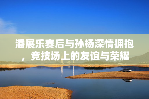 潘展乐赛后与孙杨深情拥抱，竞技场上的友谊与荣耀