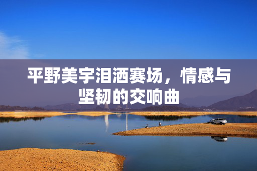 平野美宇泪洒赛场，情感与坚韧的交响曲