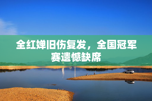 全红婵旧伤复发，全国冠军赛遗憾缺席