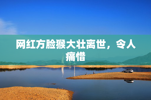 网红方脸猴大壮离世，令人痛惜