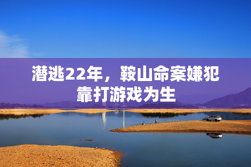 潜逃22年，鞍山命案嫌犯靠打游戏为生