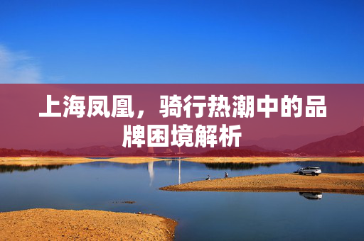 上海凤凰，骑行热潮中的品牌困境解析