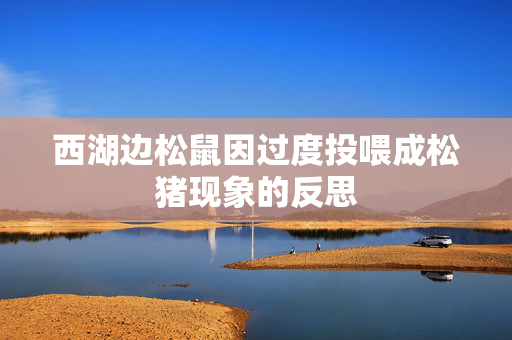 西湖边松鼠因过度投喂成松猪现象的反思