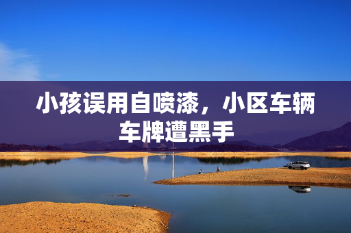 小孩误用自喷漆，小区车辆车牌遭黑手