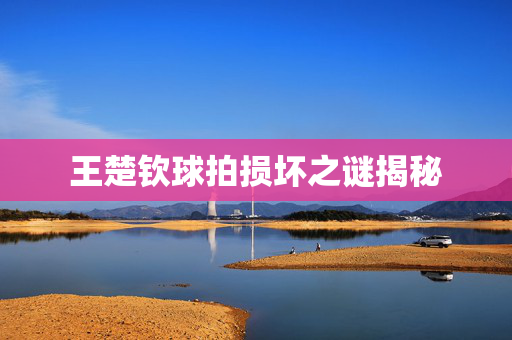 王楚钦球拍损坏之谜揭秘