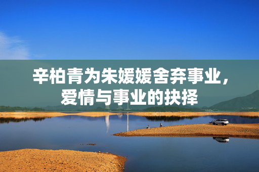 辛柏青为朱媛媛舍弃事业，爱情与事业的抉择