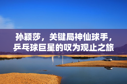 孙颖莎，关键局神仙球手，乒乓球巨星的叹为观止之旅