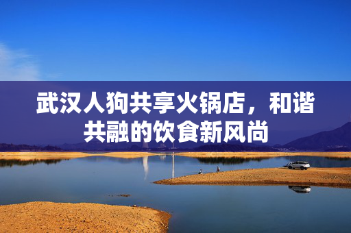 武汉人狗共享火锅店，和谐共融的饮食新风尚
