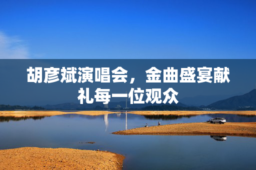 胡彦斌演唱会，金曲盛宴献礼每一位观众