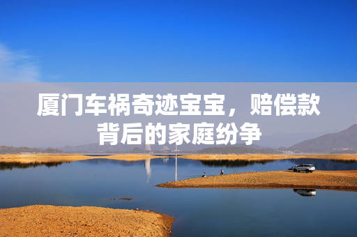 厦门车祸奇迹宝宝，赔偿款背后的家庭纷争