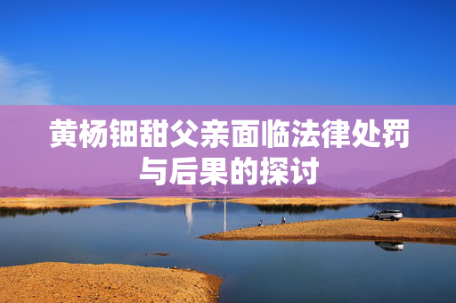 黄杨钿甜父亲面临法律处罚与后果的探讨