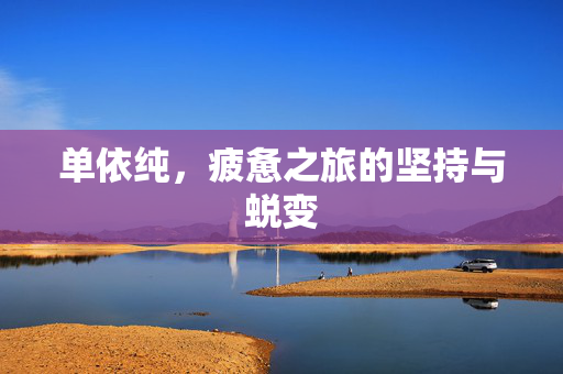单依纯，疲惫之旅的坚持与蜕变