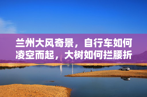兰州大风奇景，自行车如何凌空而起，大树如何拦腰折断
