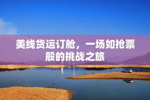 美线货运订舱，一场如抢票般的挑战之旅
