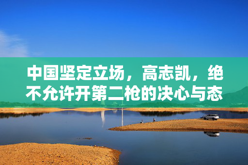 中国坚定立场，高志凯，绝不允许开第二枪的决心与态度
