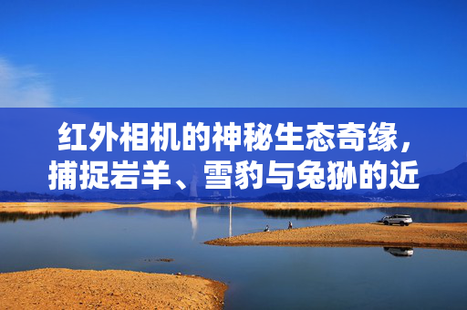 红外相机的神秘生态奇缘，捕捉岩羊、雪豹与兔狲的近80台相机之旅