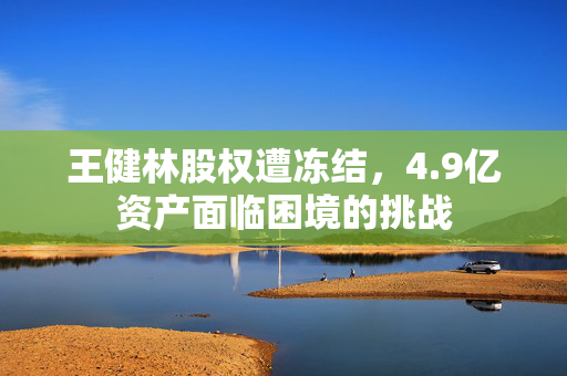 王健林股权遭冻结，4.9亿资产面临困境的挑战