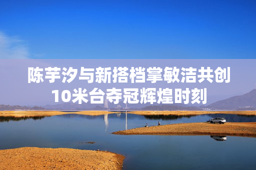 陈芋汐与新搭档掌敏洁共创10米台夺冠辉煌时刻