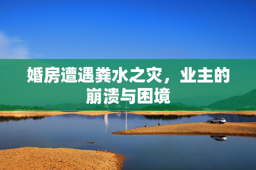 婚房遭遇粪水之灾，业主的崩溃与困境