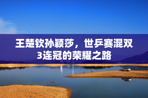 王楚钦孙颖莎，世乒赛混双3连冠的荣耀之路