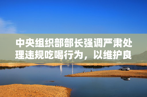 中央组织部部长强调严肃处理违规吃喝行为，以维护良好政治生态