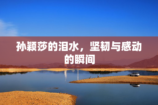 孙颖莎的泪水，坚韧与感动的瞬间