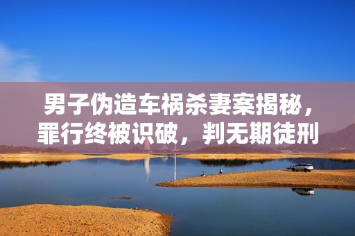 男子伪造车祸杀妻案揭秘，罪行终被识破，判无期徒刑