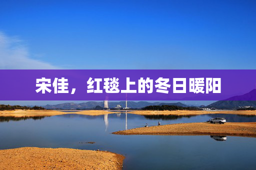 宋佳，红毯上的冬日暖阳
