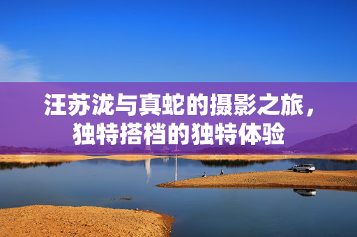 汪苏泷与真蛇的摄影之旅，独特搭档的独特体验