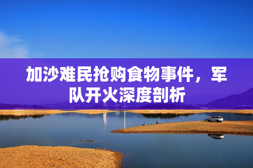 加沙难民抢购食物事件，军队开火深度剖析