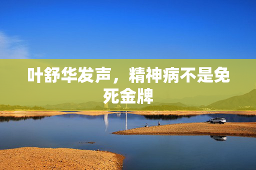 叶舒华发声，精神病不是免死金牌