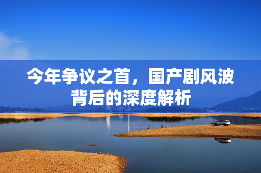 今年争议之首，国产剧风波背后的深度解析