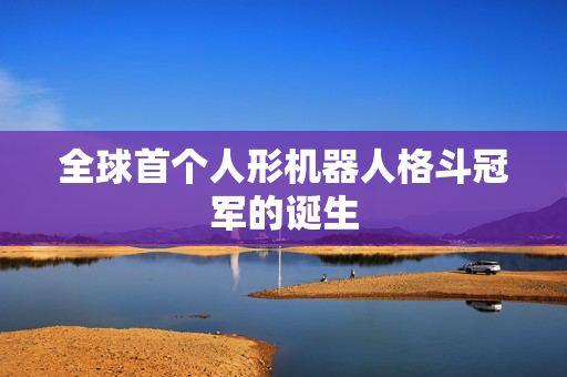 全球首个人形机器人格斗冠军的诞生