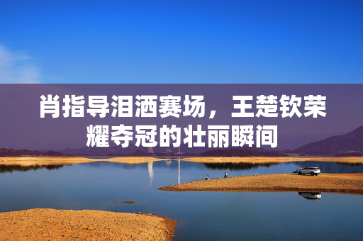 肖指导泪洒赛场，王楚钦荣耀夺冠的壮丽瞬间