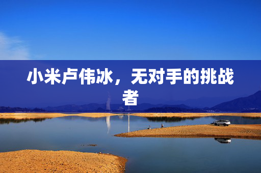 小米卢伟冰，无对手的挑战者