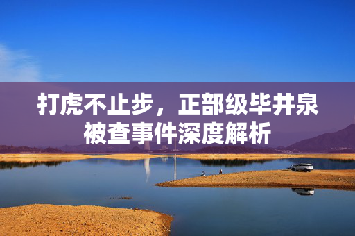 打虎不止步，正部级毕井泉被查事件深度解析
