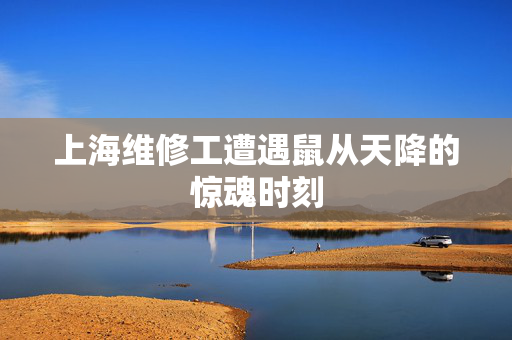 上海维修工遭遇鼠从天降的惊魂时刻