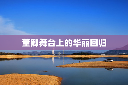 董卿舞台上的华丽回归
