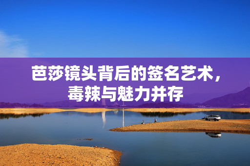 芭莎镜头背后的签名艺术，毒辣与魅力并存