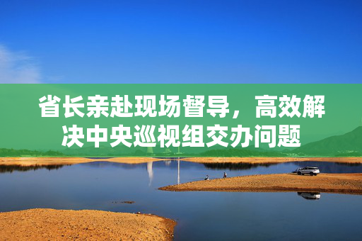 省长亲赴现场督导，高效解决中央巡视组交办问题